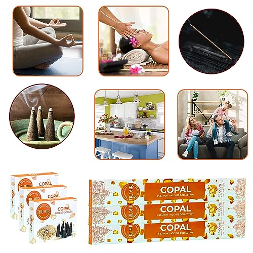 Copal Incense Sticks & Incense Cones Combo Pack - 60 Insence-Sticks + 30 Insence Cones - Inscense - Incense Cones Scented - Insents - color: Copal