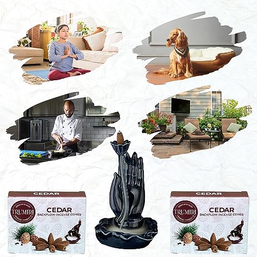Cedar Backflow Incense Cones - 60 Total, Six Packs of 10, Waterfall Effect - color: Cedar, size: Pack of 6 (60 Cones)