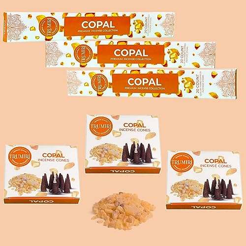Copal Incense Sticks & Incense Cones Combo Pack - 60 Insence-Sticks + 30 Insence Cones - Inscense - Incense Cones Scented - Insents - color: Copal