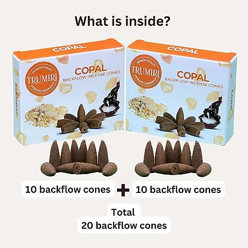 Copal Backflow Incense Cones - 20 Cones, Dual Pack of 10, Waterfall Effect - color: Copal, size: Pack of 2 (20 Cones)