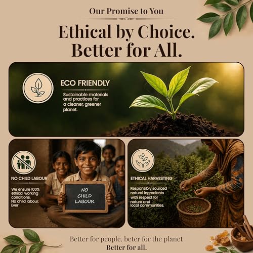 Natural Cedar Incense Sticks, 100 Sticks, No Charcoal Clean Burning, Organic Non Toxic Insence,100% Natural sustainably harvested, Spiritual Healing Calming Aroma for Positive Vibes - color: Cedar
