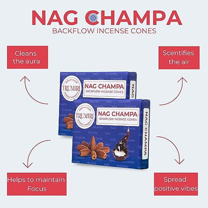 Nag Champa Backflow Incense Cones - Total 60 Incense Cones Waterfall - Six Packs of 10 Incense Backflow Cones - Waterfall Inscent Cones - Incense Waterfall Cones - color: Nag Champa, size: Pack of 6 (60 Cones)