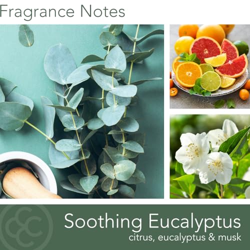 Carolina Soothing Eucalyptus Scented Candle, 16 oz Wellness Relaxing Aromatherapy Candle, 2 Wick White Jar Soy Blend Wax, Candles for Home, 60H Burn - Made in The USA - color: Soothing Eucalyptus