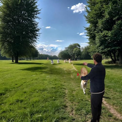 Diameter 16.5inch(42cm) Gong Instrument,Chinese Traditional,copper alloy - size: 16.5 inch gong