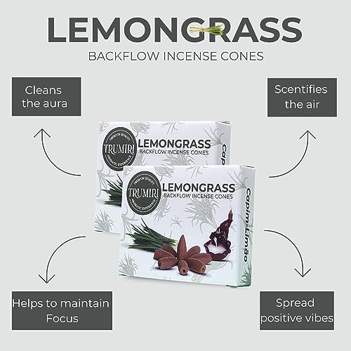 Lemongrass Backflow Incense - 60 Cones, Six Packs of 10, Waterfall Effect - color: Lemongrass, size: Pack of 6 (60 Cones)