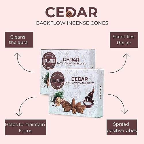 Cedar Backflow Incense Cones - 60 Total, Six Packs of 10, Waterfall Effect - color: Cedar, size: Pack of 6 (60 Cones)