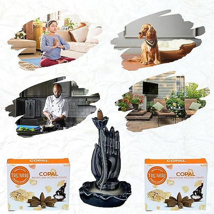 Copal Backflow Incense Cones - 60 Cones, Six Packs of 10, Waterfall Effect - color: Copal, size: Pack of 6 (60 Cones)