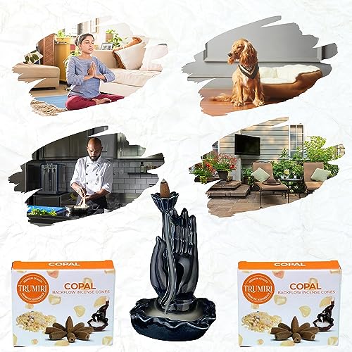 Copal Backflow Incense Cones - 20 Cones, Dual Pack of 10, Waterfall Effect - color: Copal, size: Pack of 2 (20 Cones)