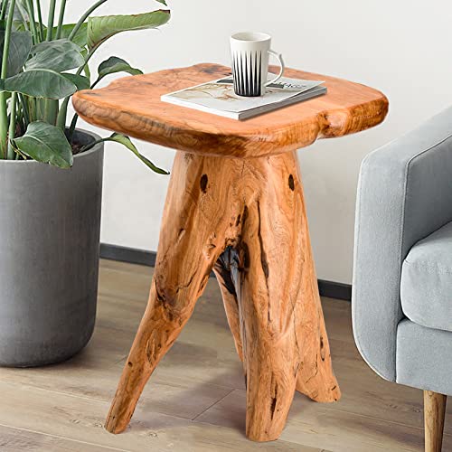 Mushroom Side Table, 18.9 inch Tall Live Edge Wood Stool, Freeform Natural Plant Stand for Garden, Yard, Living Room, Bedroom - size: 14.2"D x 13.8"W x 18.9"H