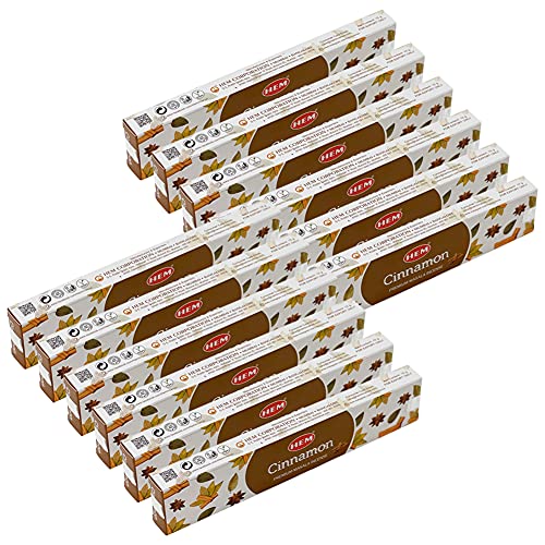Cinnamon Masala Incense Sticks and Holder Burner Bundle from Hem Incense and Trumiri for Home Fragrance Insence Insiensos - color: Cinnamon Masala