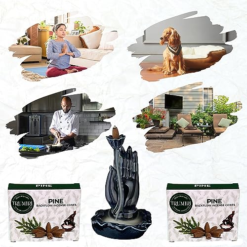Pine Backflow Incense Cones - 60 Cones, Six Packs of 10, Waterfall Effect - color: Pine, size: Pack of 6 (60 Cones)
