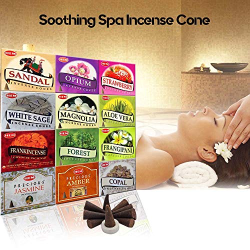 Hem 12 Assorted Boxes of Incense Cones, (120 Total)| Natural Fragrance for Aromatic Rooms | Odor Remover Incense for Stress Relief & Relaxation (Assorted 2)
