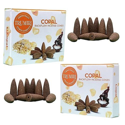 Copal Backflow Incense Cones - 20 Cones, Dual Pack of 10, Waterfall Effect - color: Copal, size: Pack of 2 (20 Cones)