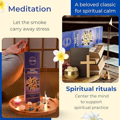 Nag Champa Incense Sticks - Pack of 100 Inscents-Sticks - Scented Insence Made with Natural Ingredients - Indian Spiritual Inciensos Non Toxic Agarbatti Insense - color: Nag Champa
