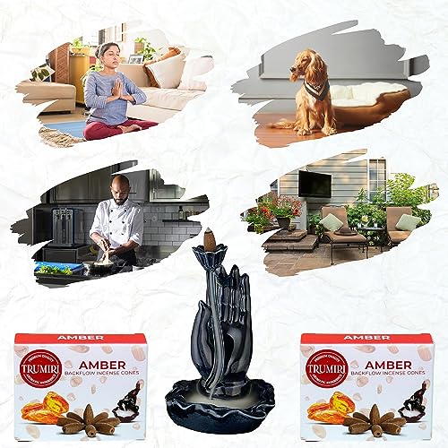 Amber Backflow Incense Cones - 60 Cones, Six Packs of 10, Waterfall Effect - color: Amber, size: Pack of 6 (60 Cones)
