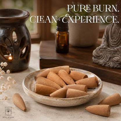 Soul Sticks Backflow Incense Cones – 40 Handmade Organic Cones for Waterfall Burner | 4 Pack Long Lasting Aromatic Scents | Thick White Smoke Incense for Meditation, Yoga & Gifts (Go Away Evil) - color: Go Away Evil