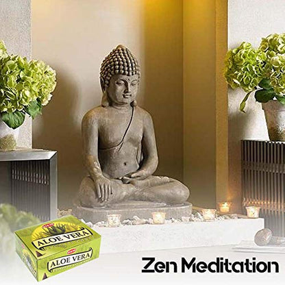 Aloe Vera - Case of 12 Boxes, 10 Cones Each - HEM Incense From India