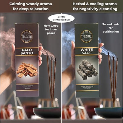 White Sage & Palo Santo - Combo Pack of Incense Sticks - 100 Insence-Sticks of Each Scent - Total 200 Inscents - Incienso for Smudge Rituals and Spiritual Cleansing of Negative Energies - color: White Sage & Palo Santo
