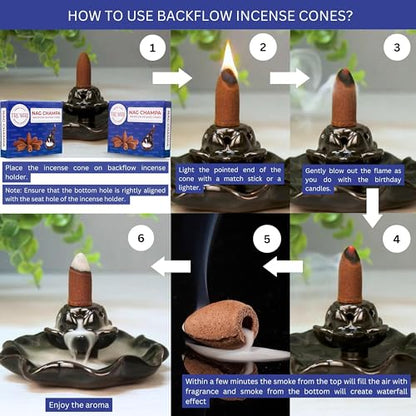 TRUMIRI Nag Champa Backflow Incense Cones - 20 Count (Pack of 2) - color: Nag Champa, size: Pack of 2 (20 Cones)