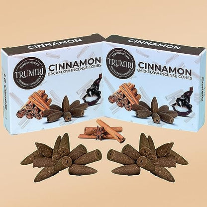 Cinnamon Backflow Incense Cones - Dual Pack of 10 Cones - Waterfall Incense - color: Cinnamon, size: Pack of 2 (20 Cones)