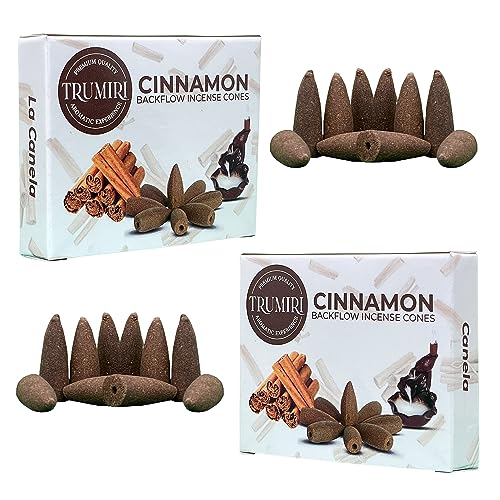 Cinnamon Backflow Incense Cones - Dual Pack of 10 Cones - Waterfall Incense - color: Cinnamon, size: Pack of 2 (20 Cones)