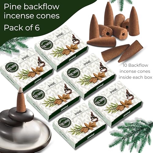 Pine Backflow Incense Cones - 60 Cones, Six Packs of 10, Waterfall Effect - color: Pine, size: Pack of 6 (60 Cones)