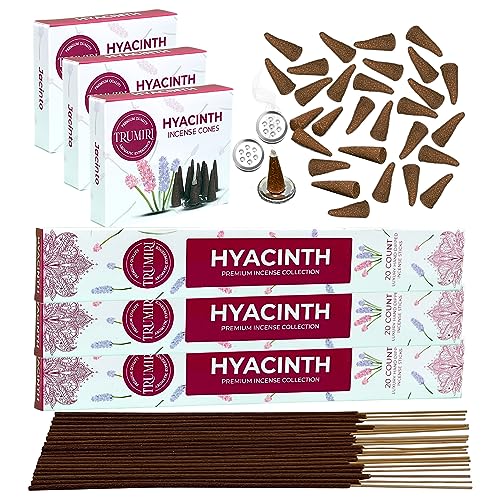Hyacinth Incense Sticks & Incense Cones Combo Pack - 60 Insence-Sticks + 30 Insence Cones - Inscense - Incense Cones Scented - Insents - color: Hyacinth