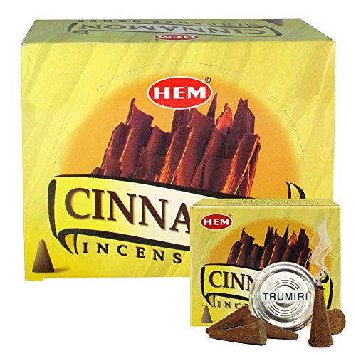 Cinnamon Incense Cones and Cone Incense Burner Bundle Insence Insense Hem Incense - color: Cinnamon
