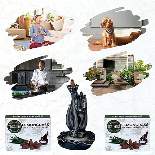 Lemongrass Backflow Incense - 60 Cones, Six Packs of 10, Waterfall Effect - color: Lemongrass, size: Pack of 6 (60 Cones)