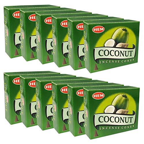 Coconut Incense Cones And Cone Incense Burner Bundle Insence Insense Hem Incense - color: Coconut