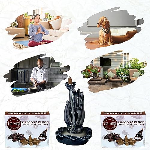 Dragons Blood Backflow Incense - 60 Cones (6 Packs of 10) - Waterfall Effect - color: Dragons Blood, size: Pack of 6 (60 Cones)