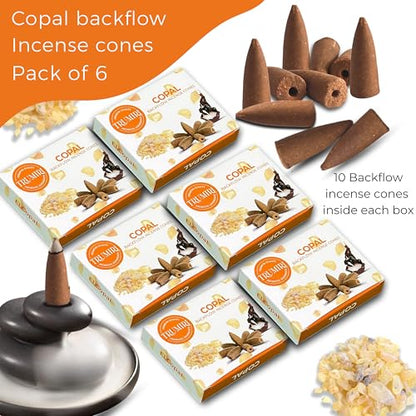 Copal Backflow Incense Cones - 60 Cones, Six Packs of 10, Waterfall Effect - color: Copal, size: Pack of 6 (60 Cones)