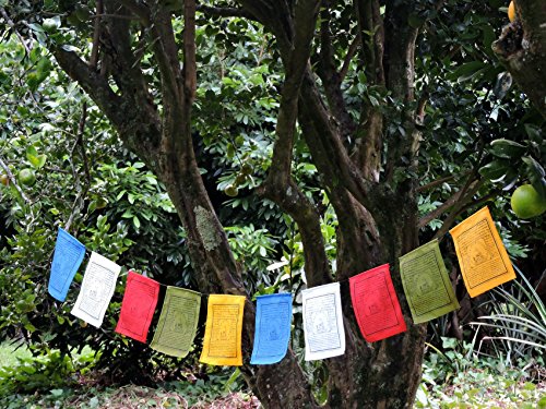 Handmade Large Cotton Medicine Buddha Prayer Flags in Tibetan with English Translation (9x12)
