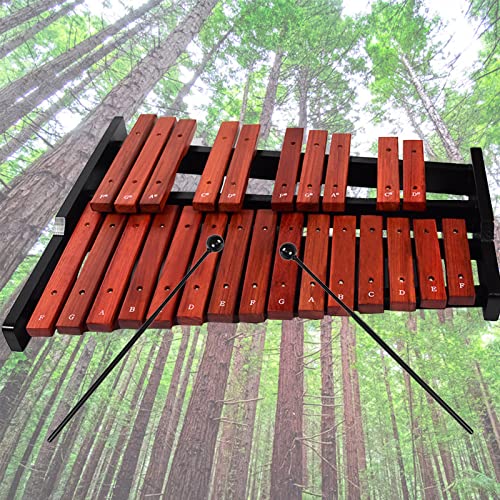 TNZMART 25 Note Xylophone Wooden Glockenspiel Xylophones with Mallet Professional Percussion Instrument (Xylophone) - color: Xylophone