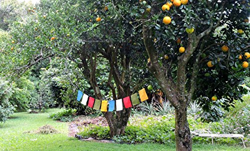 Handmade Large Cotton Medicine Buddha Prayer Flags in Tibetan with English Translation (9x12)